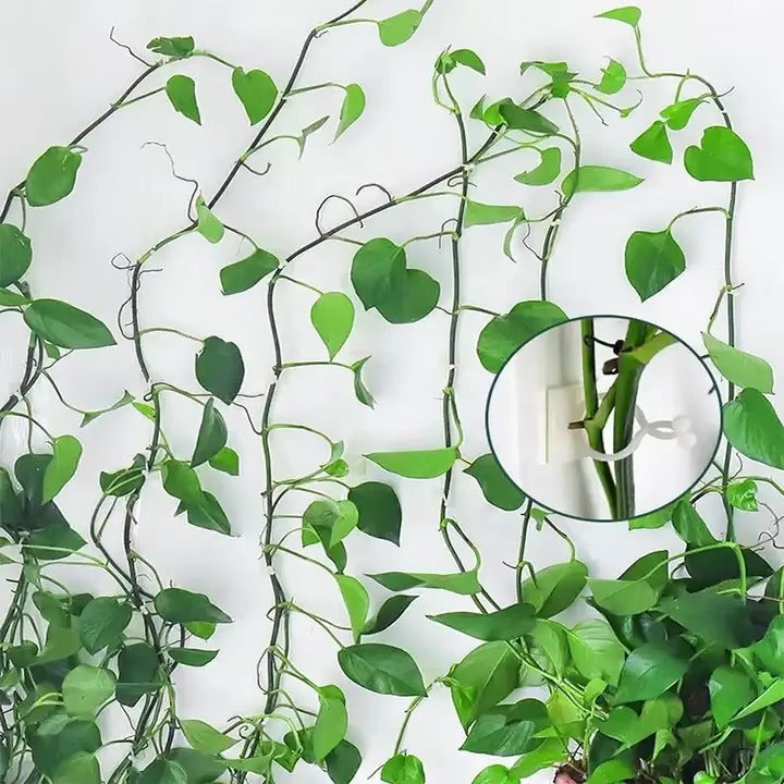 Climbing Plants Support Clips
