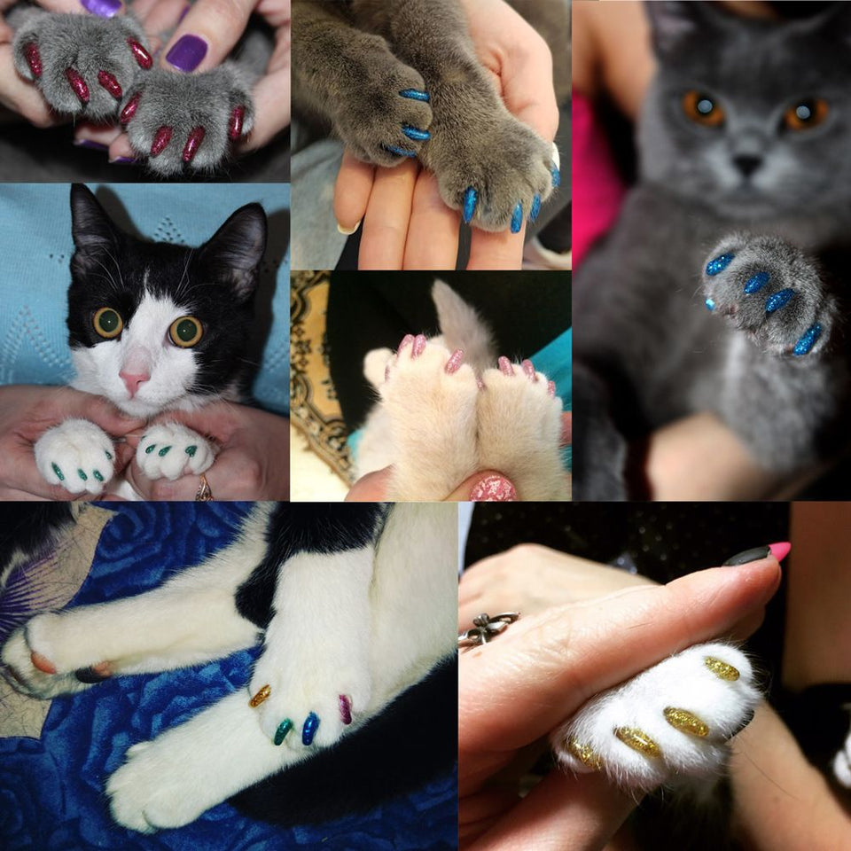 Colorful Soft Plastic Cat Nail Caps (PACK OF 20)