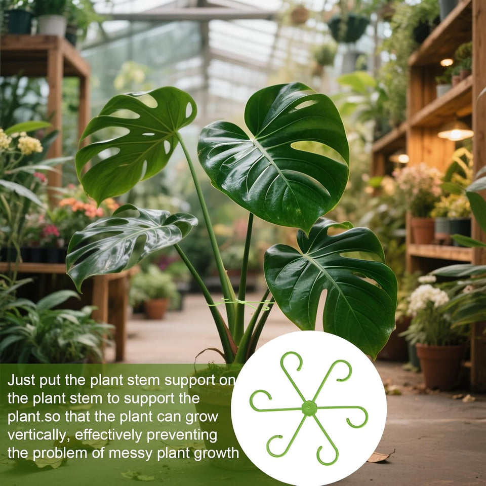 Plant Stem Support frame