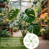 Plant Stem Support frame
