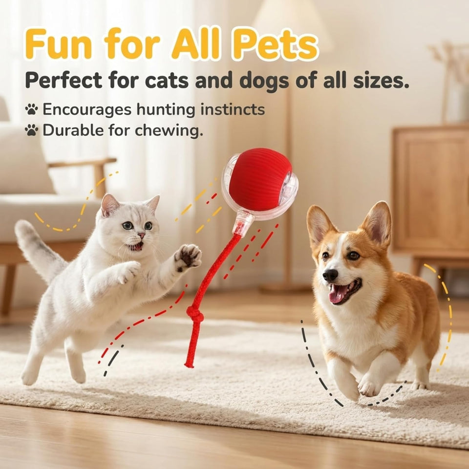 Rechargeable 360° Smart Rolling Ball Toy