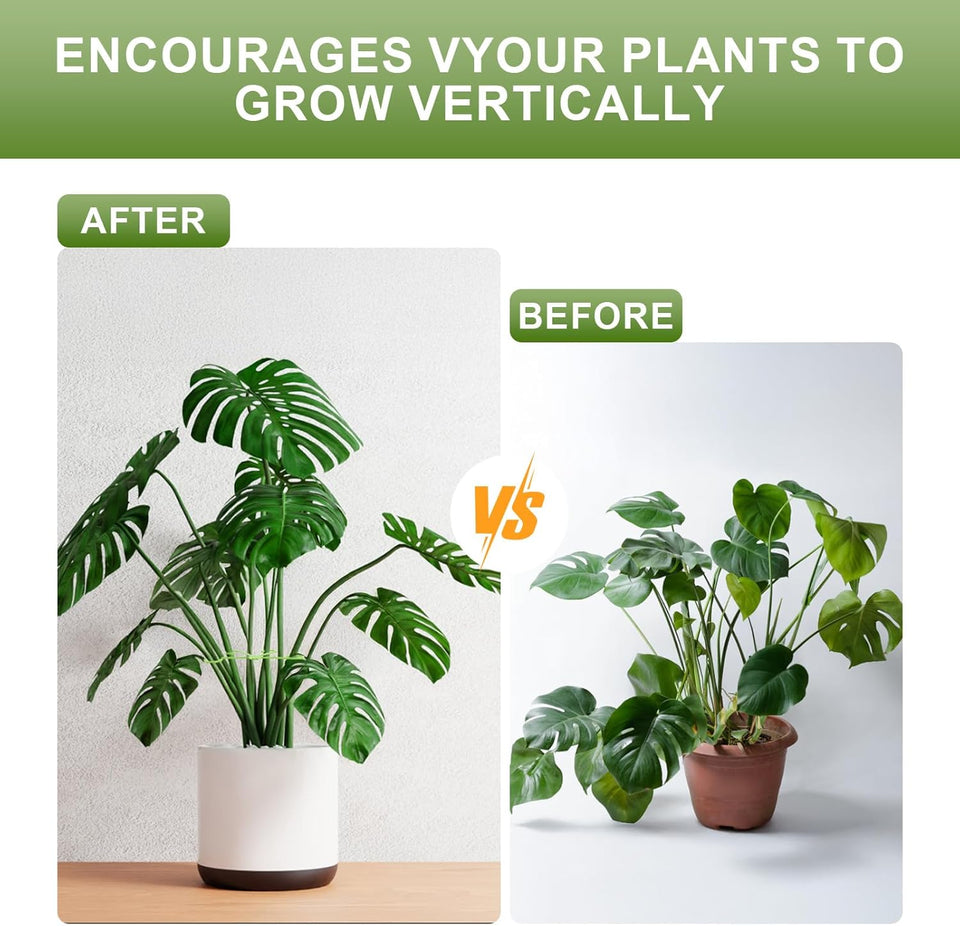 Plant Stem Support frame