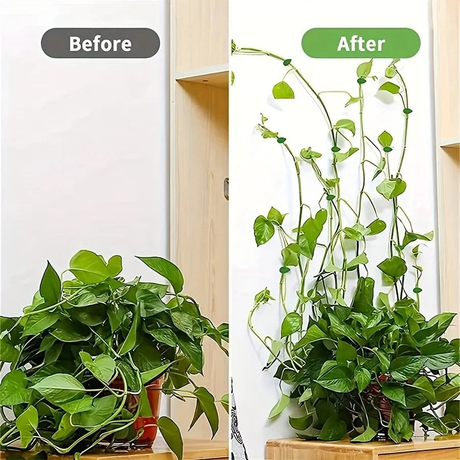 Climbing Plants Invisible Vine Traction Support Holder