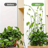 Climbing Plants Invisible Vine Traction Support Holder