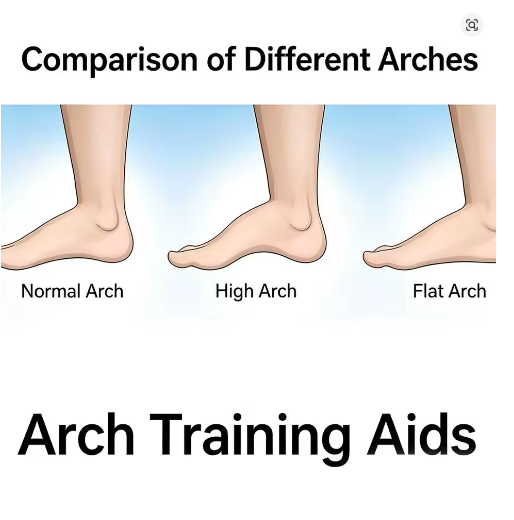 Premium Arch Support Trainer & Toe Corrector