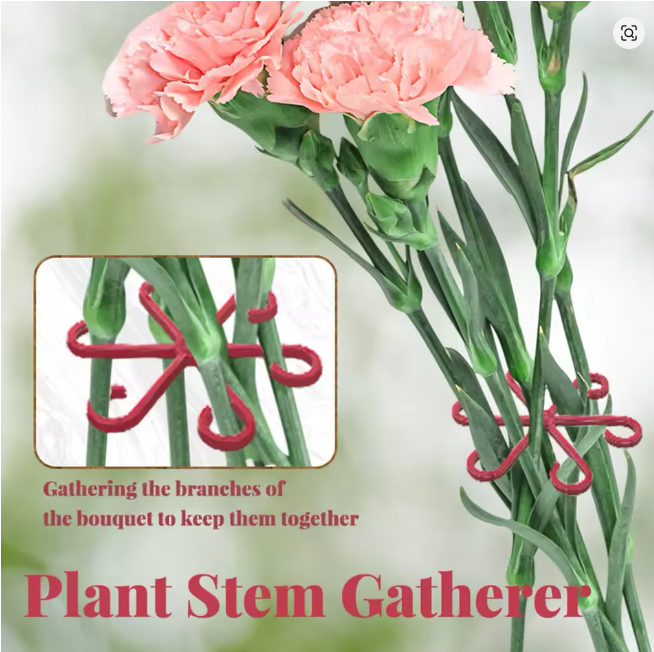 Plant Stem Support frame