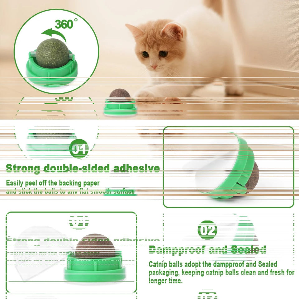 Catnip Ball Cat Toy