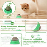 Catnip Ball Cat Toy