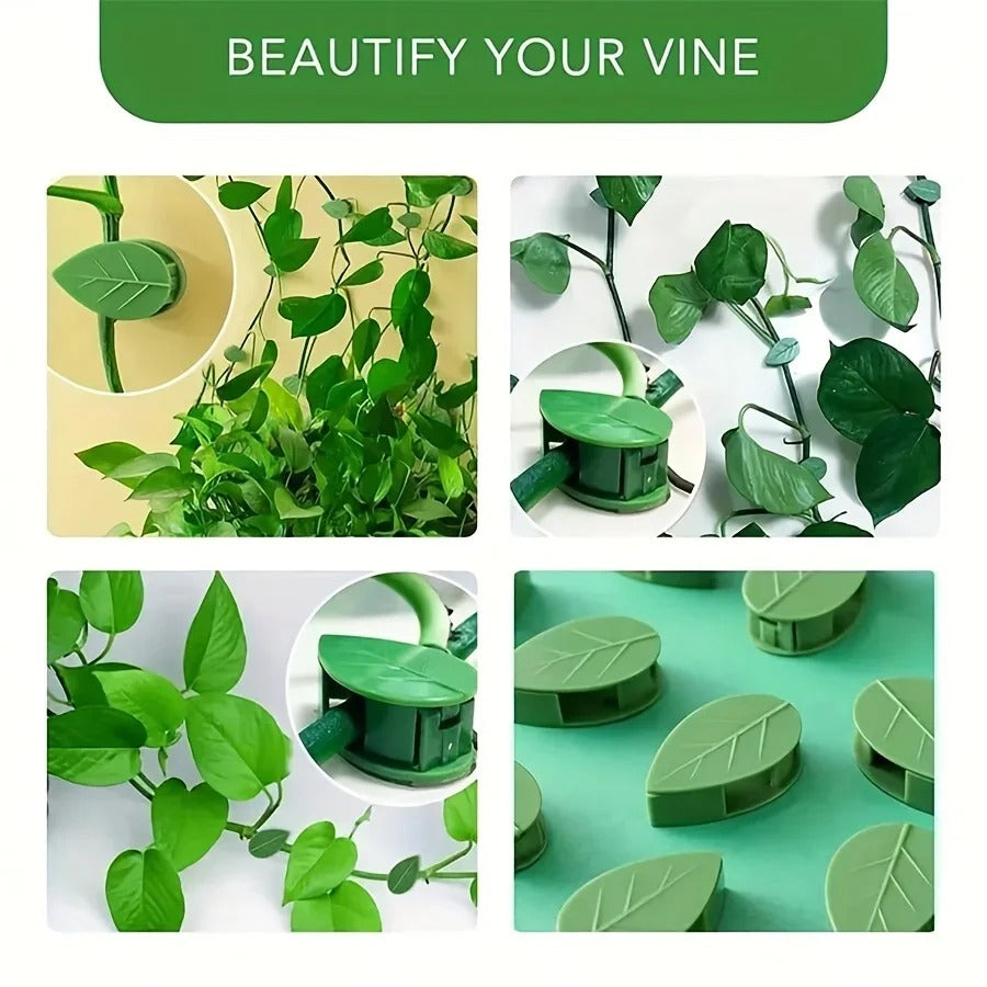 Climbing Plants Invisible Vine Traction Support Holder